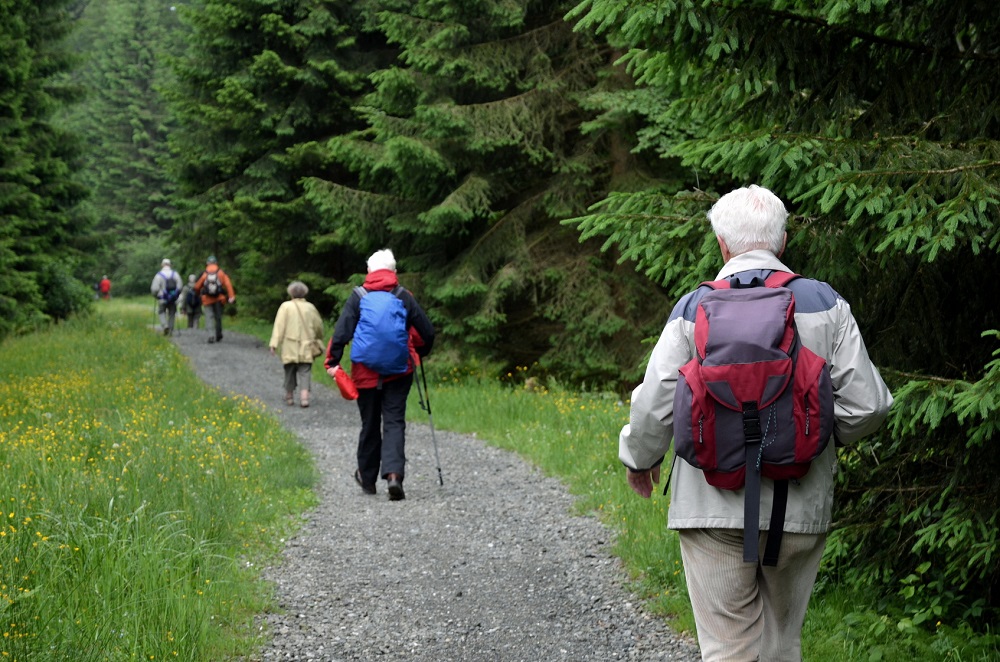 Herzschwäche – was für Sie wichtig ist