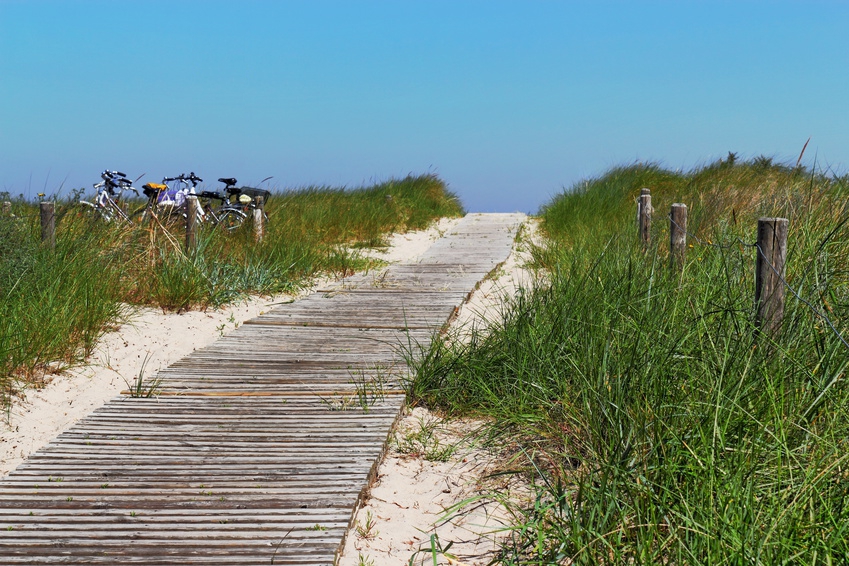 Patientenleitlinie Kreuzschmerz