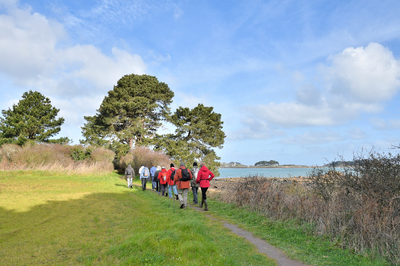 Patientenleitlinie "COPD" überarbeitet